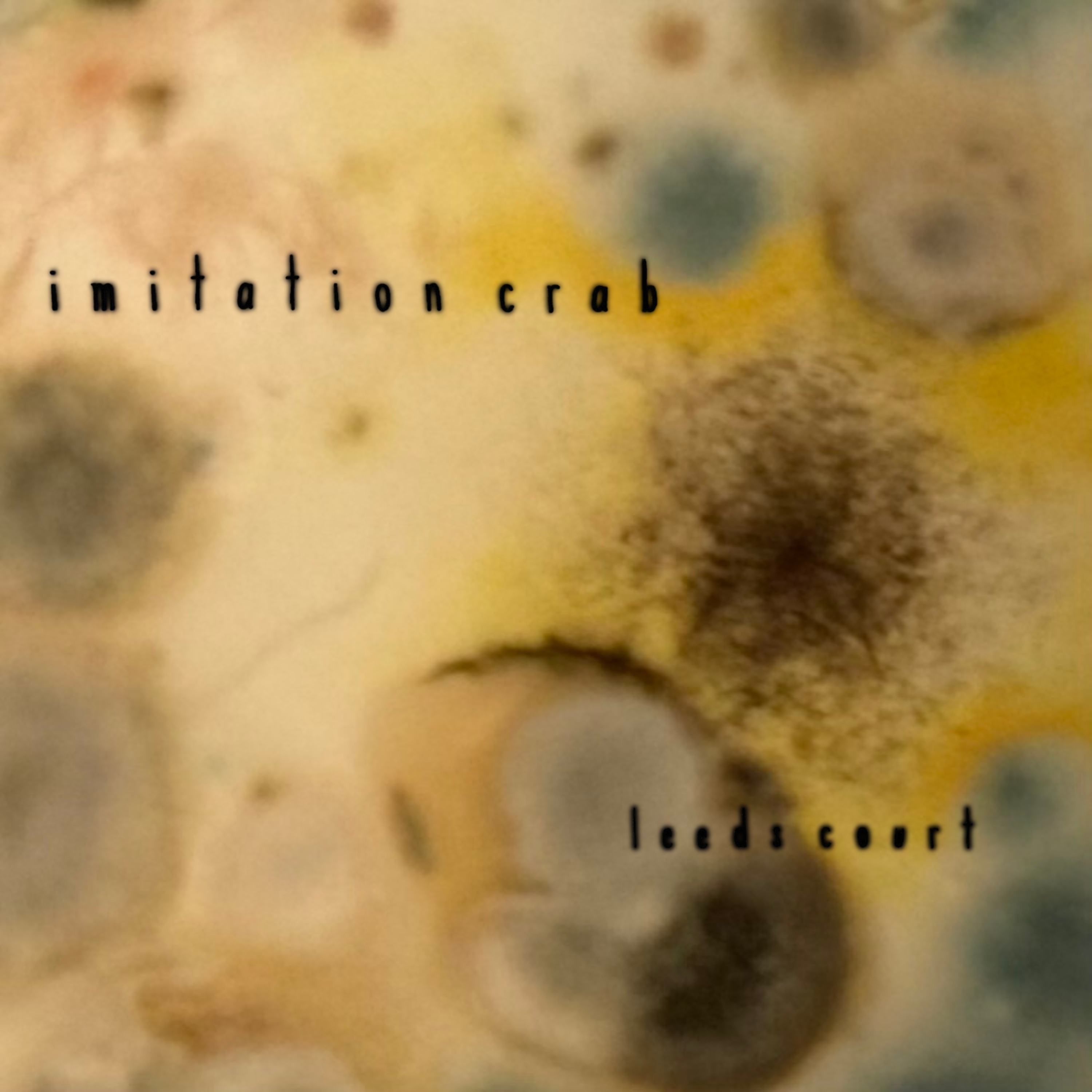 Imitation Crab Album Cover